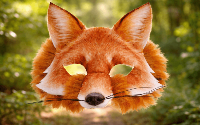 mascara-zorro-therian